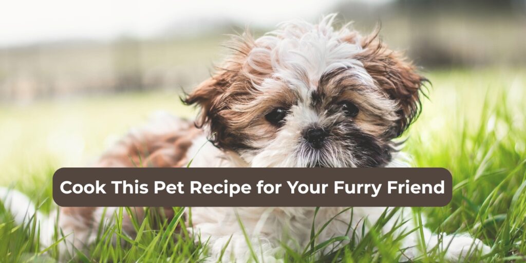 Pet Recipe