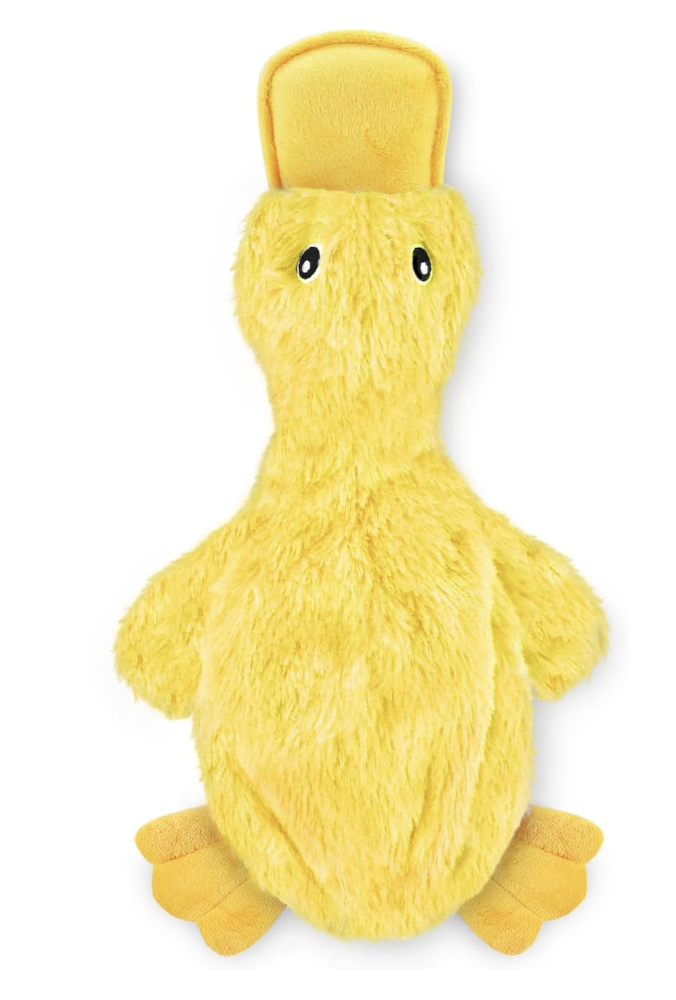 Best Pet Supplies Interactive Squeaky Dog Chew Toy,